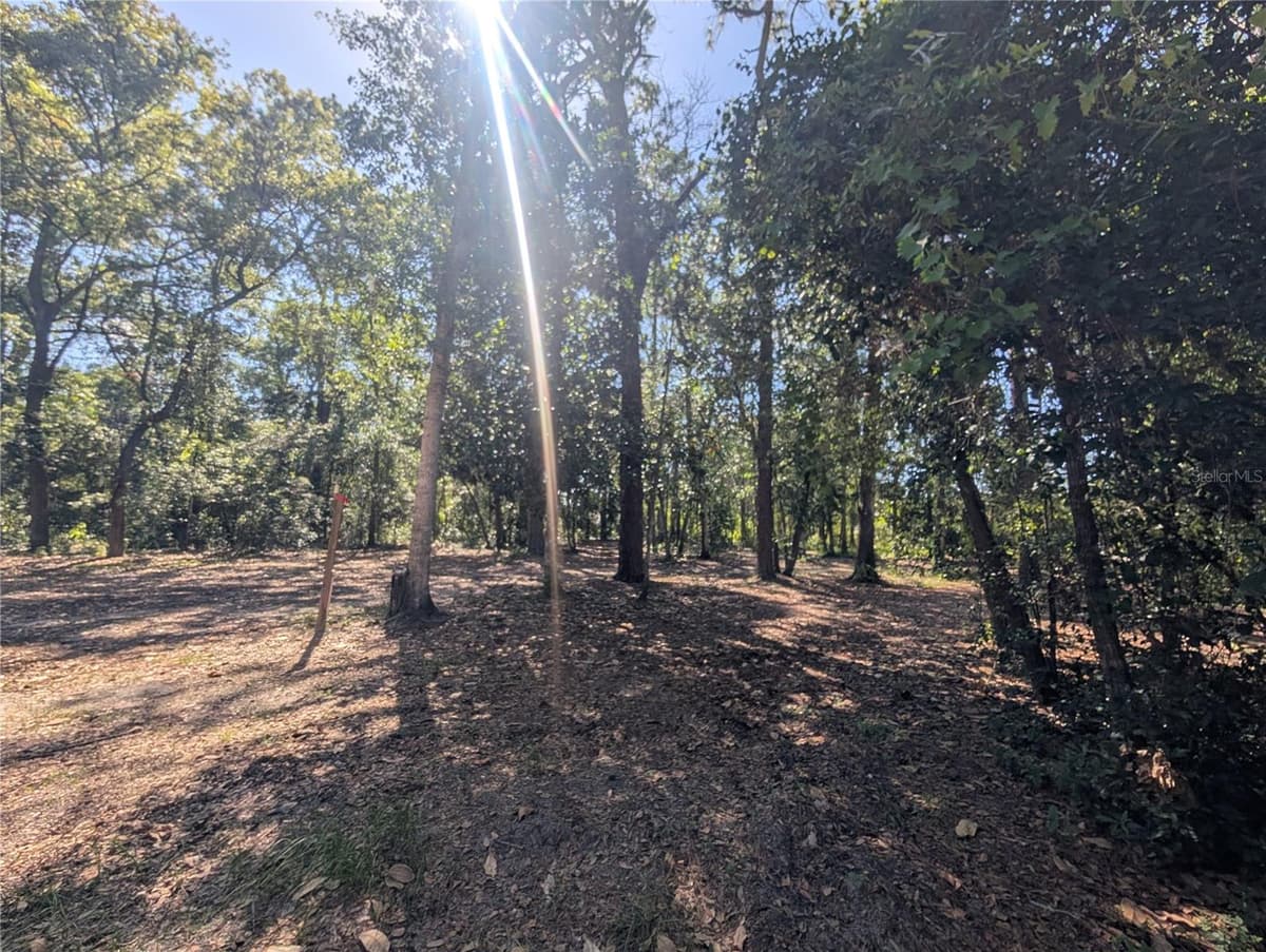 0 JACKSON AVENUE — photo 13 of 23