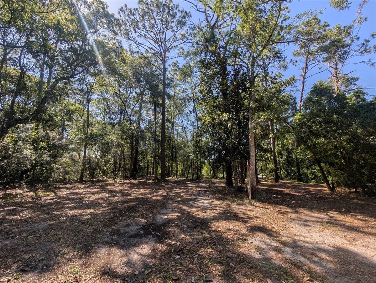 0 JACKSON AVENUE — photo 12 of 23