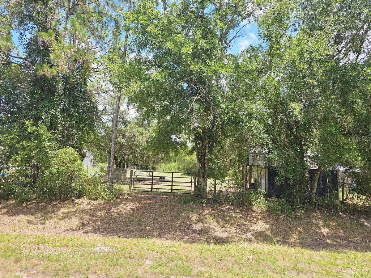 1893 WATER OAK ROAD — photo 26 of 28