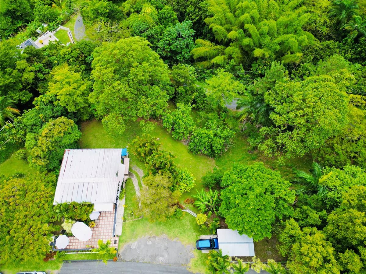 1-E VILLAS DE MONTE VERDE — photo 3 of 22