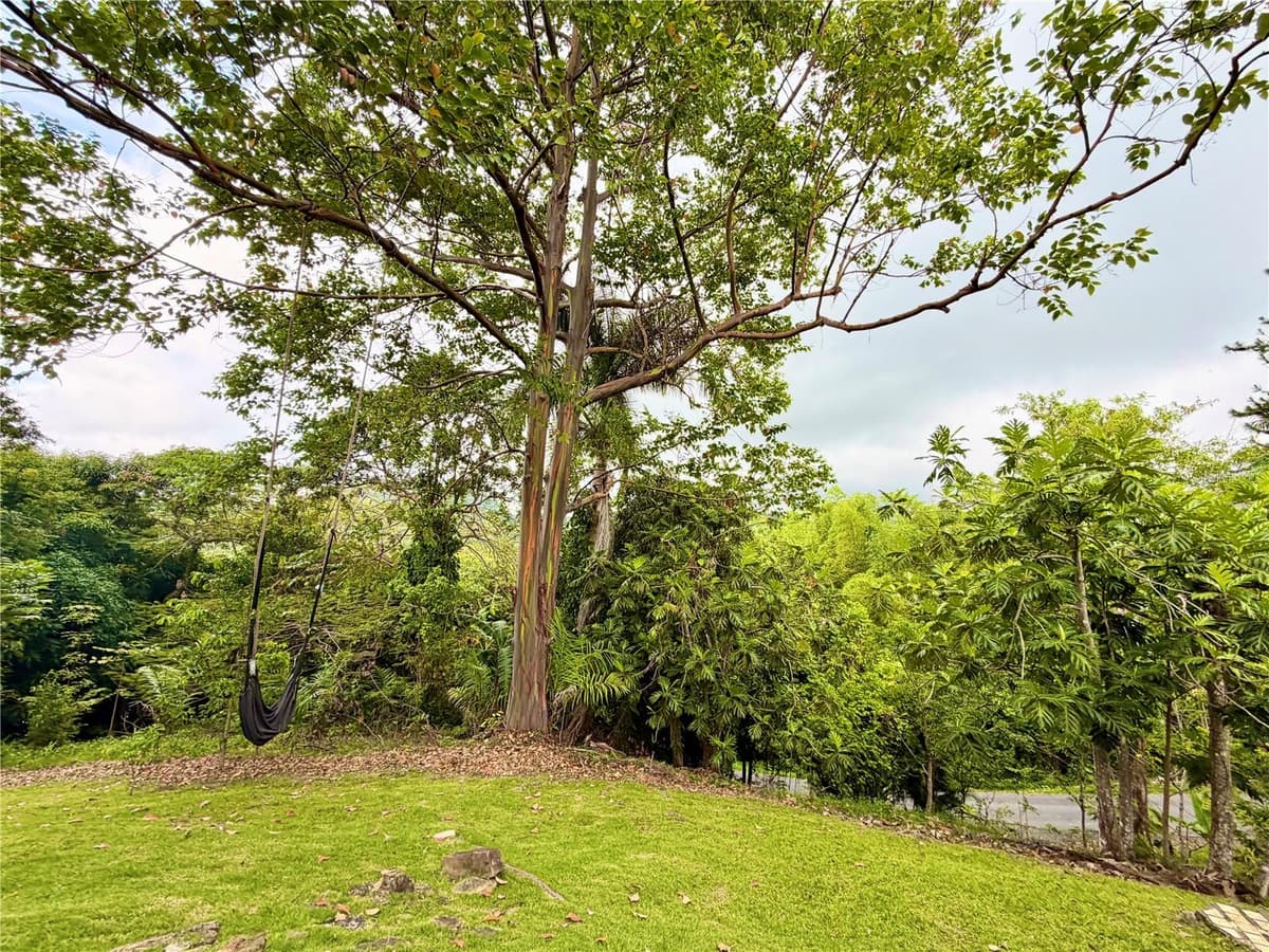 1-E VILLAS DE MONTE VERDE — photo 9 of 22
