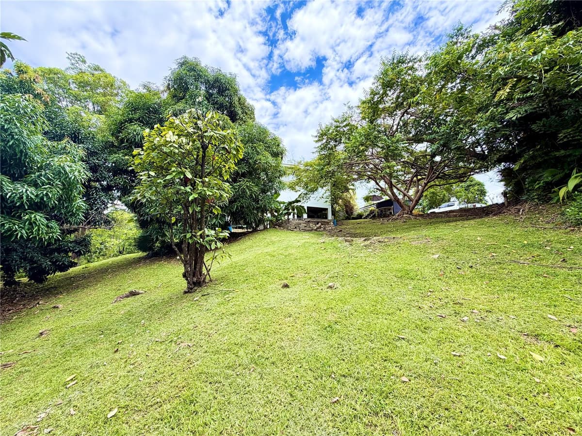 1-E VILLAS DE MONTE VERDE — photo 18 of 22