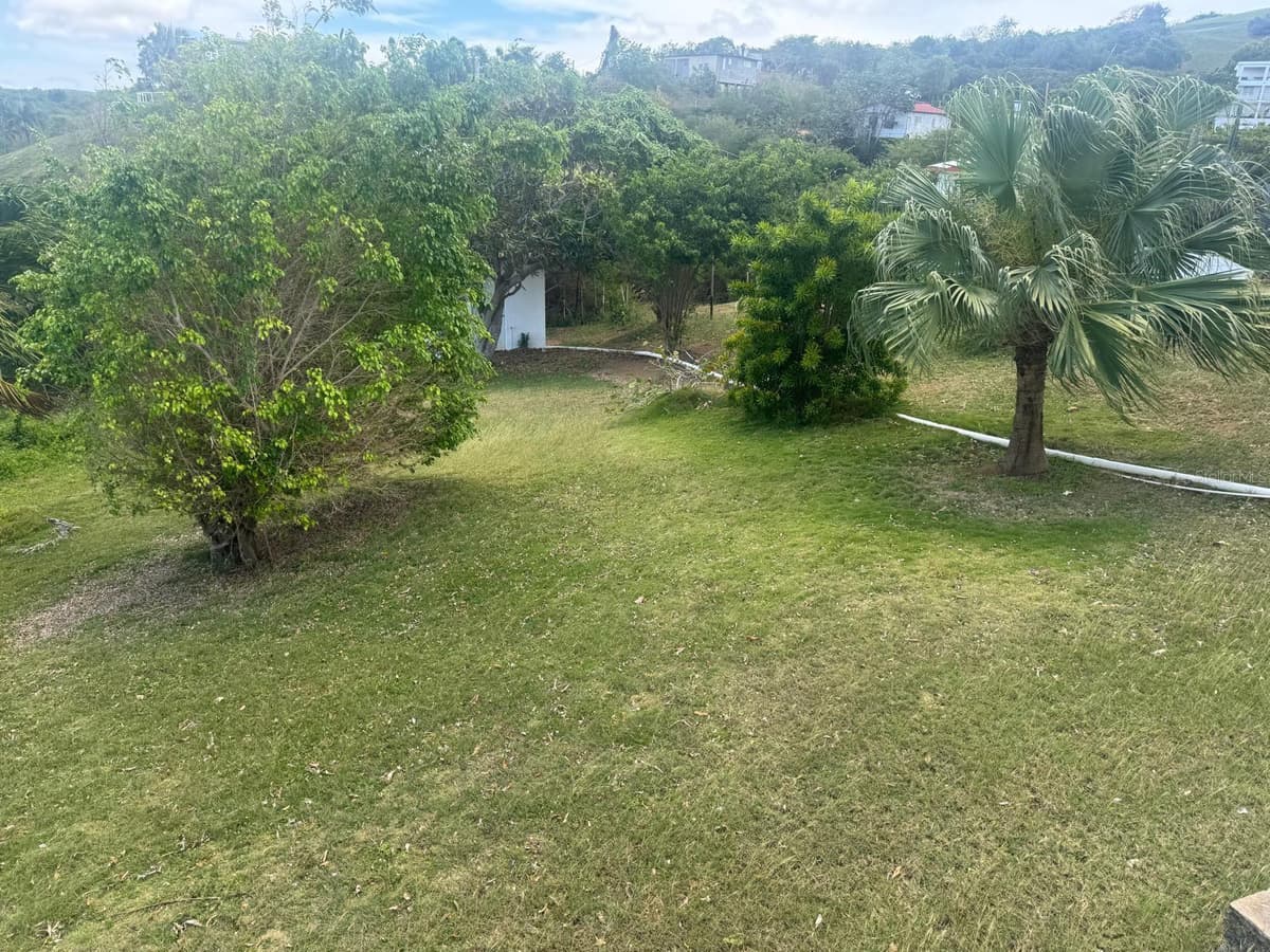 Calle 21, Lote 755, BARRIO SANTA MARÍA, VILLA BORINQUEN — photo 12 of 13