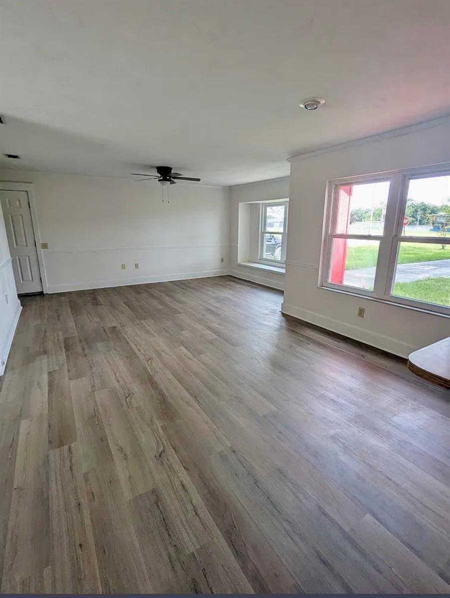 507 GOVERNOR AVENUE — photo 6 of 23