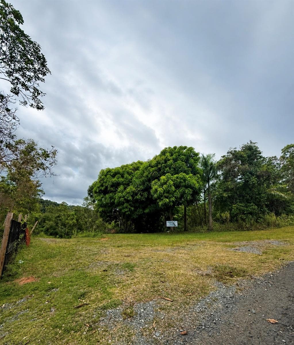 FINCAS DE NARANJO — photo 3 of 4