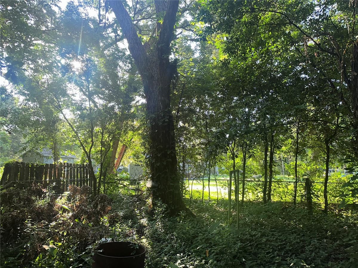 1128 JACKSON AVENUE — photo 4 of 12