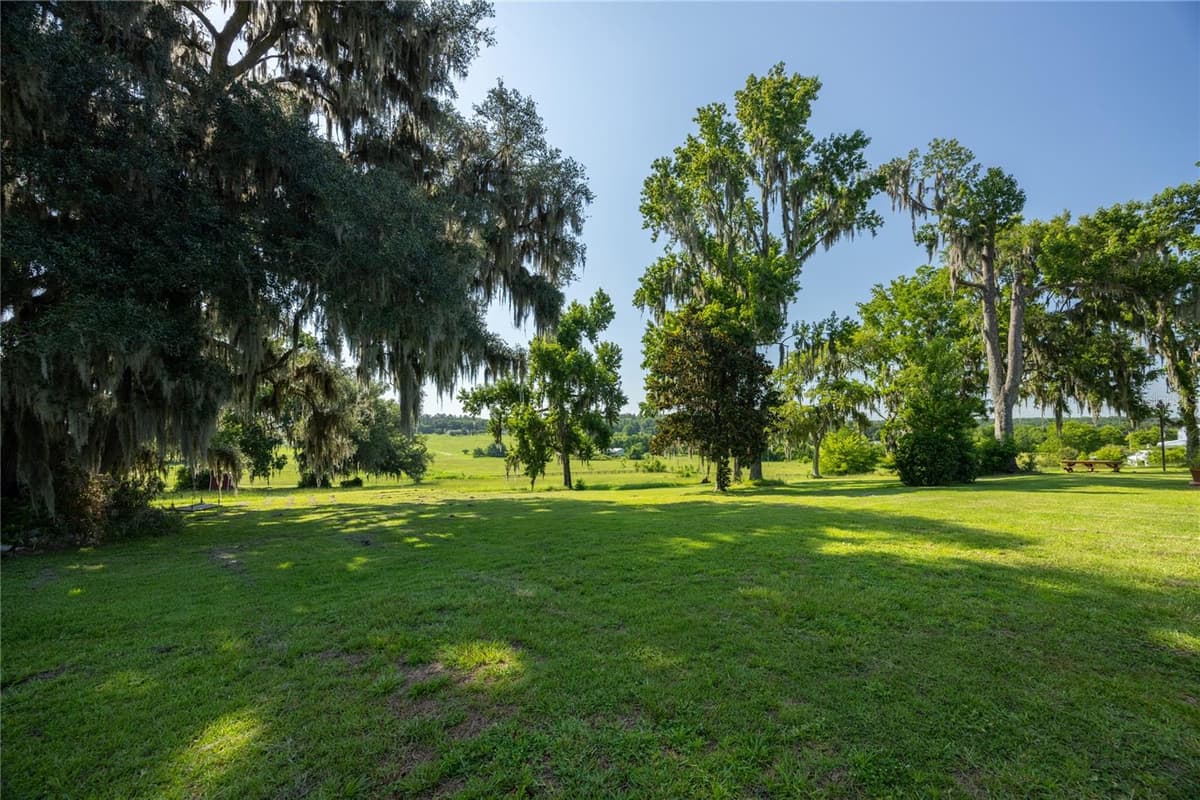 21601 OLD BELLAMY ROAD — photo 38 of 67