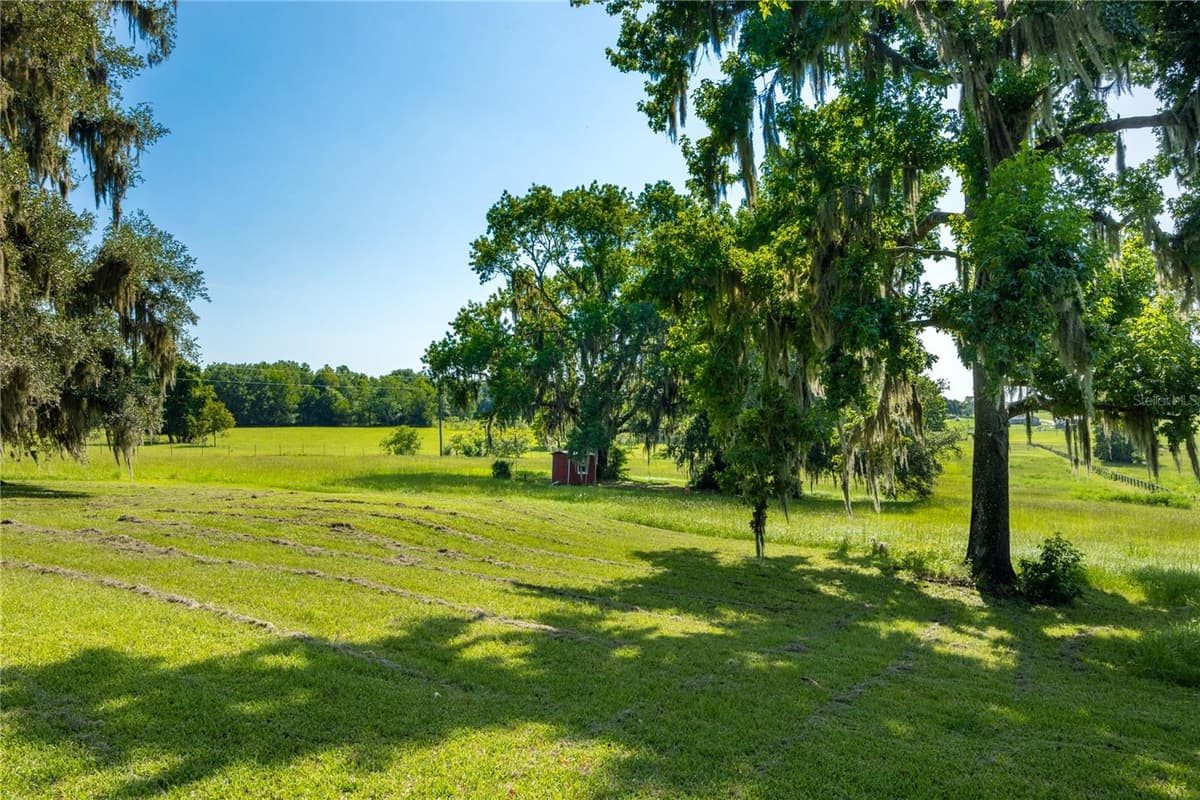 21601 OLD BELLAMY ROAD — photo 41 of 67