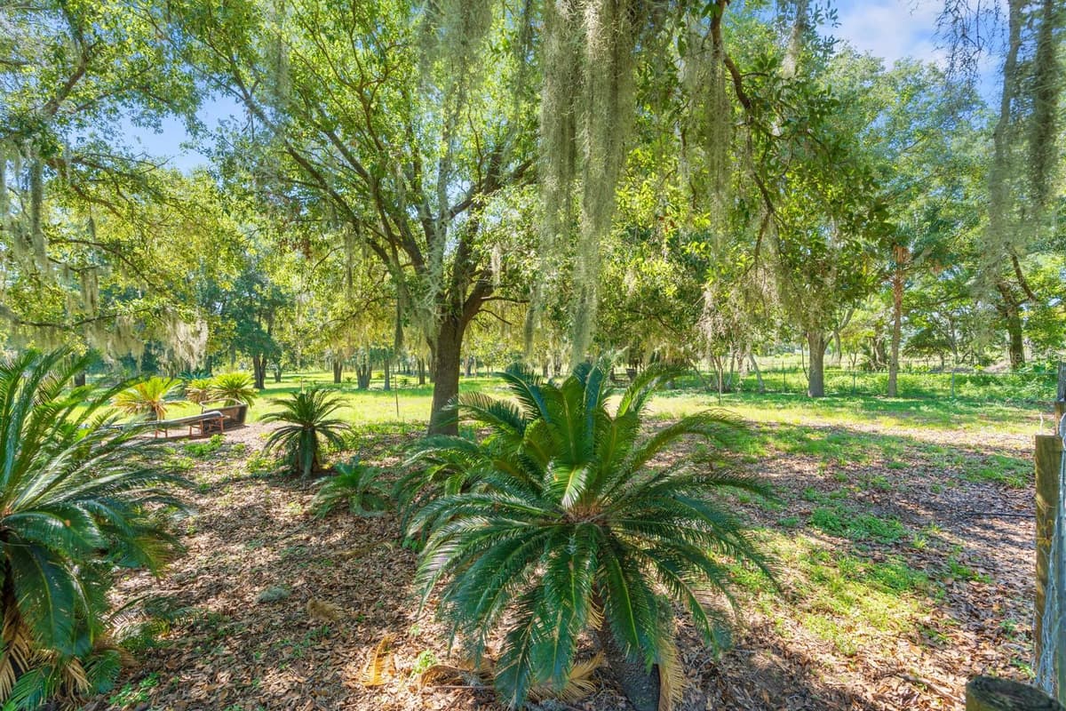 12616 THONOTOSASSA ROAD — photo 38 of 54