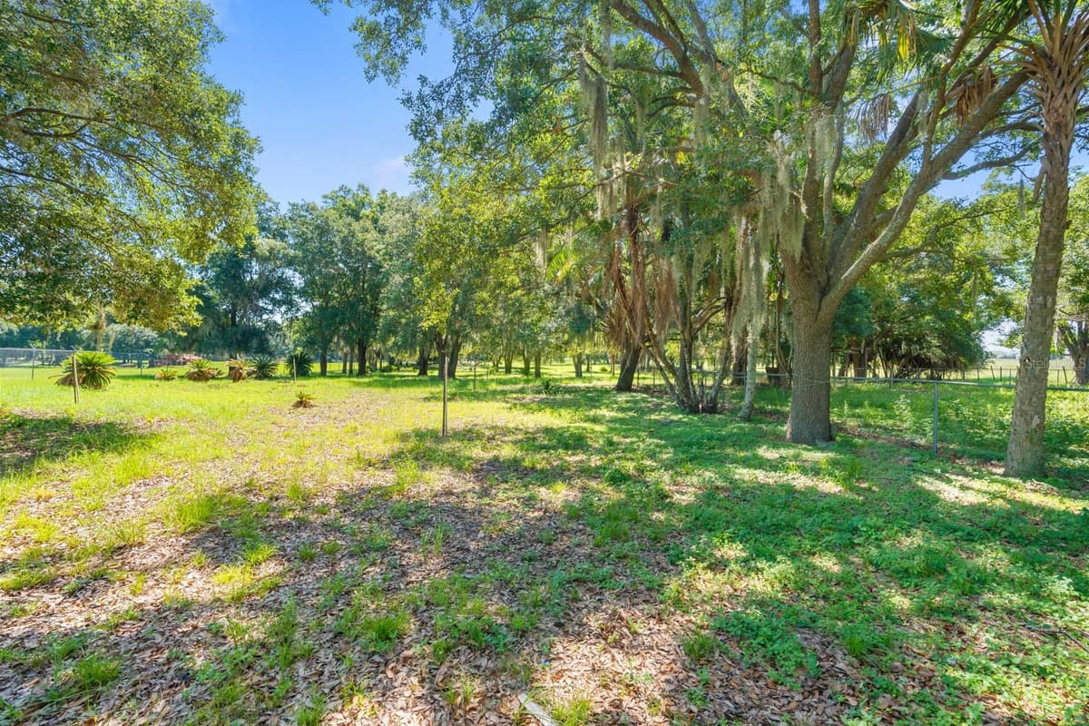 12616 THONOTOSASSA ROAD — photo 43 of 54