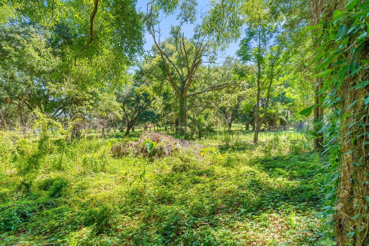 12616 THONOTOSASSA ROAD — photo 41 of 54