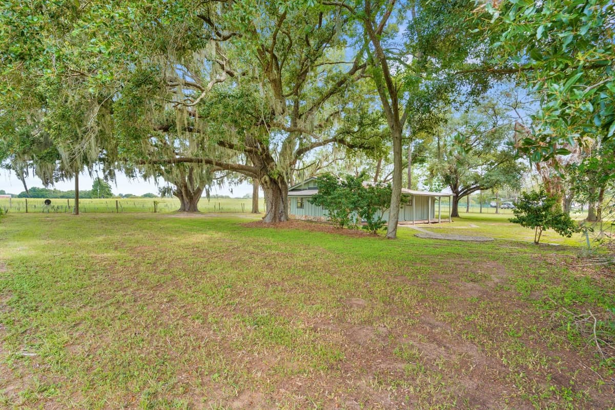 12616 THONOTOSASSA ROAD — photo 36 of 54