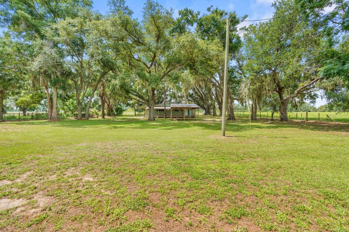 12616 THONOTOSASSA ROAD — photo 44 of 54