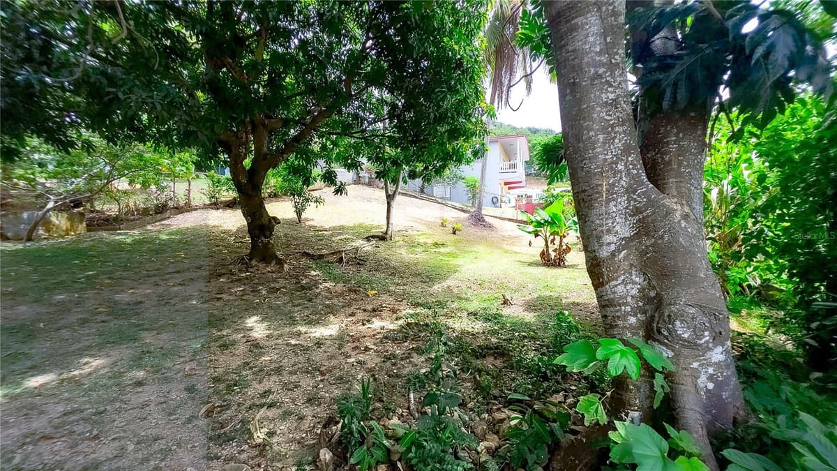 carr. 985 km 3.0 BO. FLORENCIO — photo 41 of 64