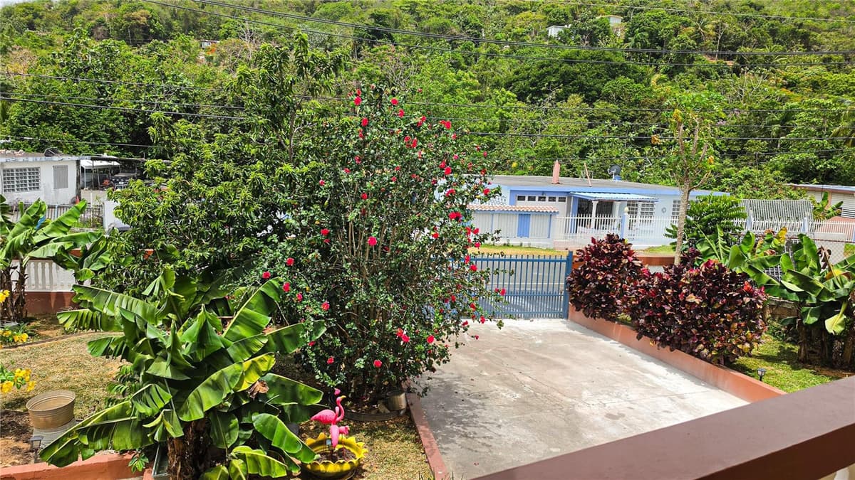carr. 985 km 3.0 BO. FLORENCIO — photo 31 of 64