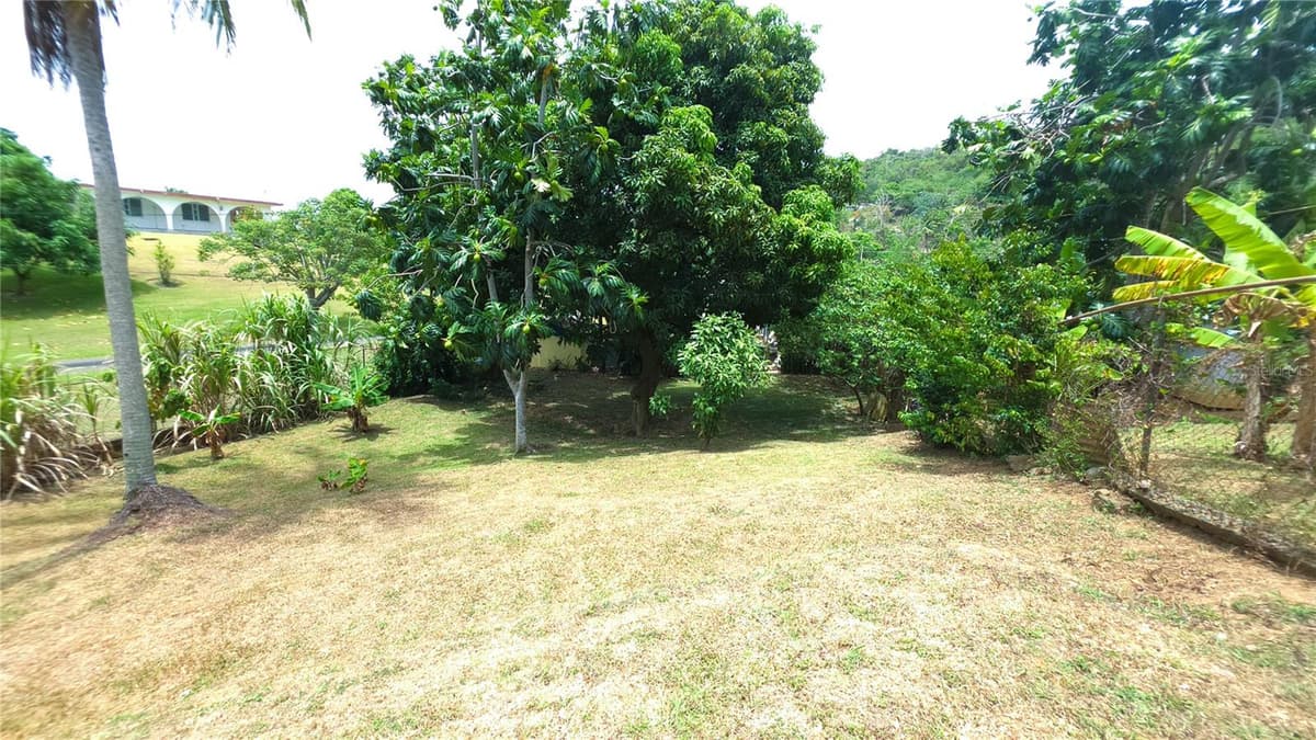 carr. 985 km 3.0 BO. FLORENCIO — photo 42 of 64