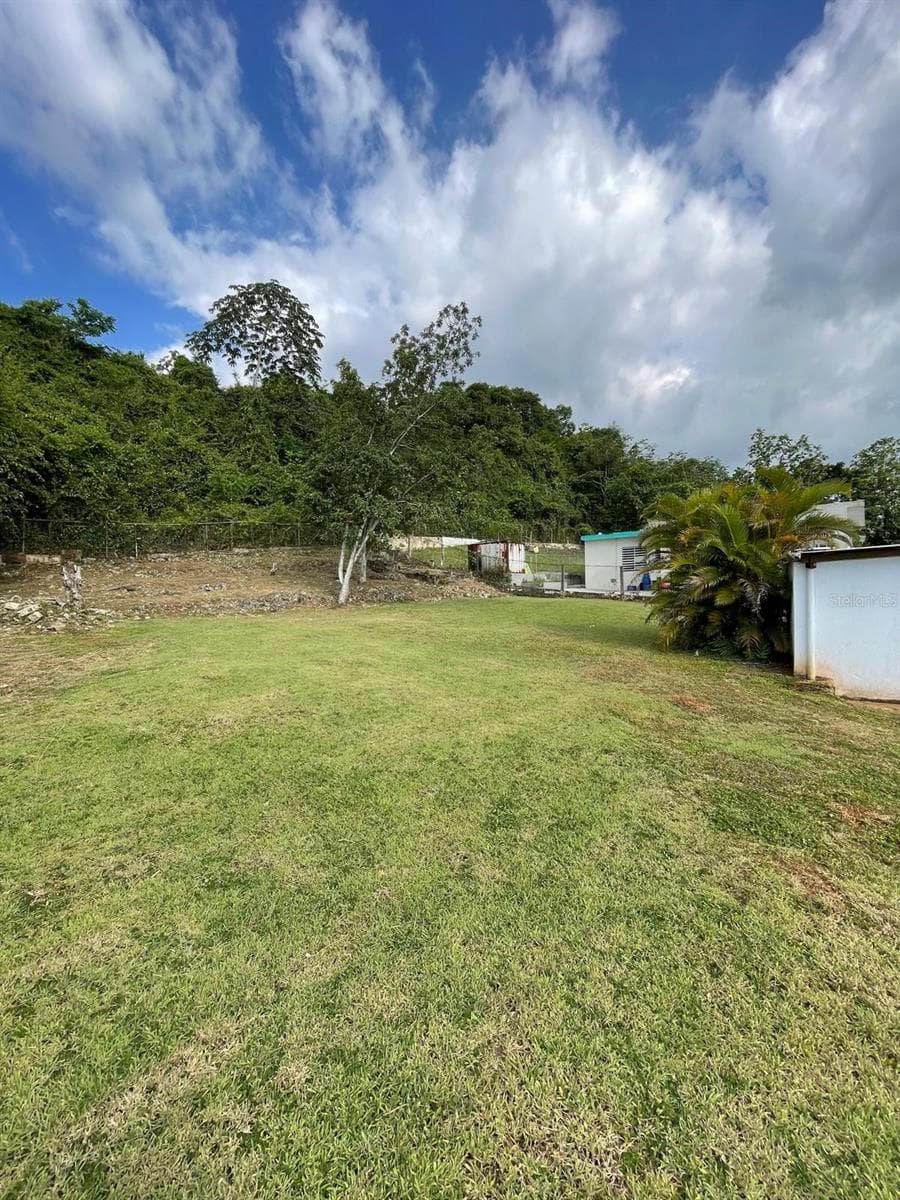 51 CALLE PARQUE — photo 15 of 16