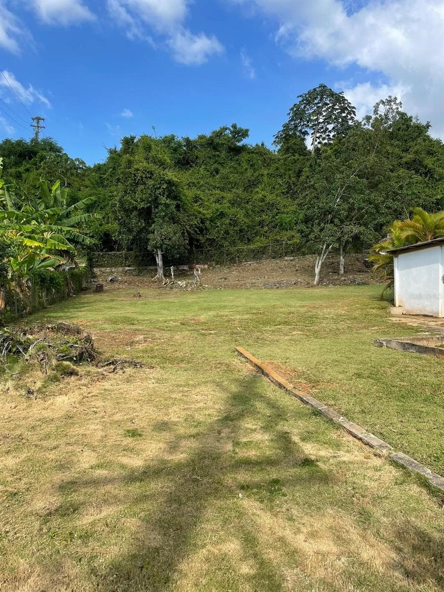 51 CALLE PARQUE — photo 14 of 16