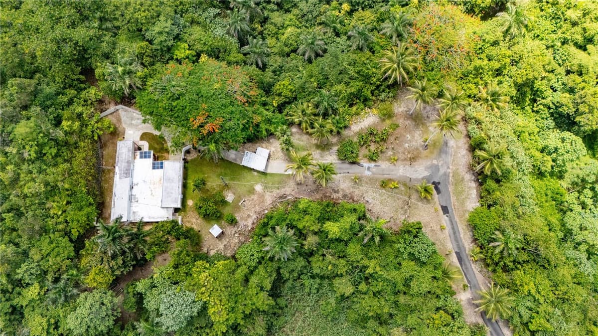 Comm Cienguetas #33 BO ESPERANZA — photo 19 of 22