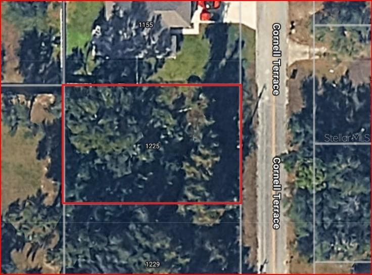 1225 CORNELL TERRACE — photo 1 of 1