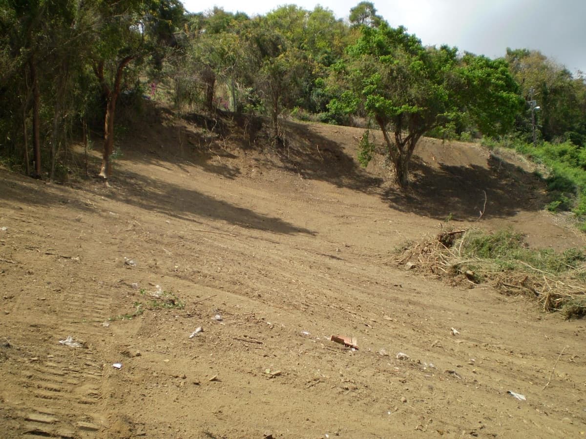 B LA ROCA DEVELOPMENT — photo 3 of 7