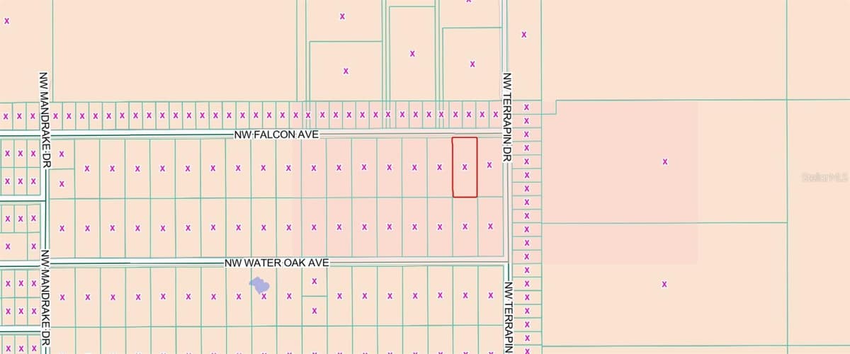 00 FALCON AVENUE — photo 4 of 4
