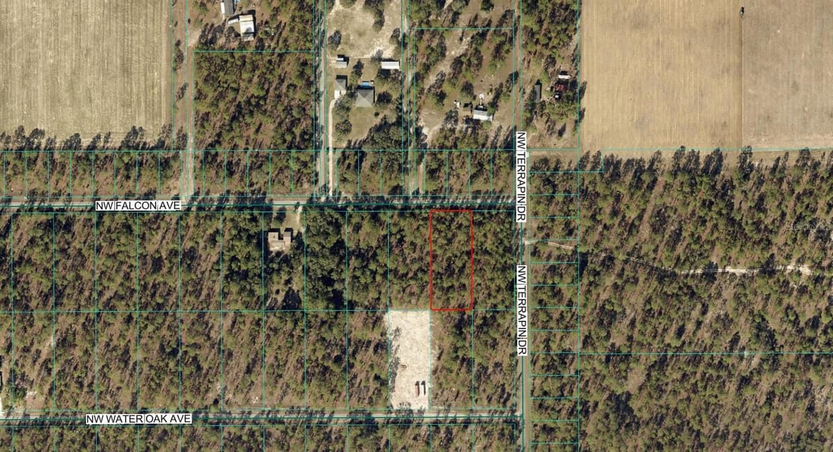 00 FALCON AVENUE — photo 1 of 4