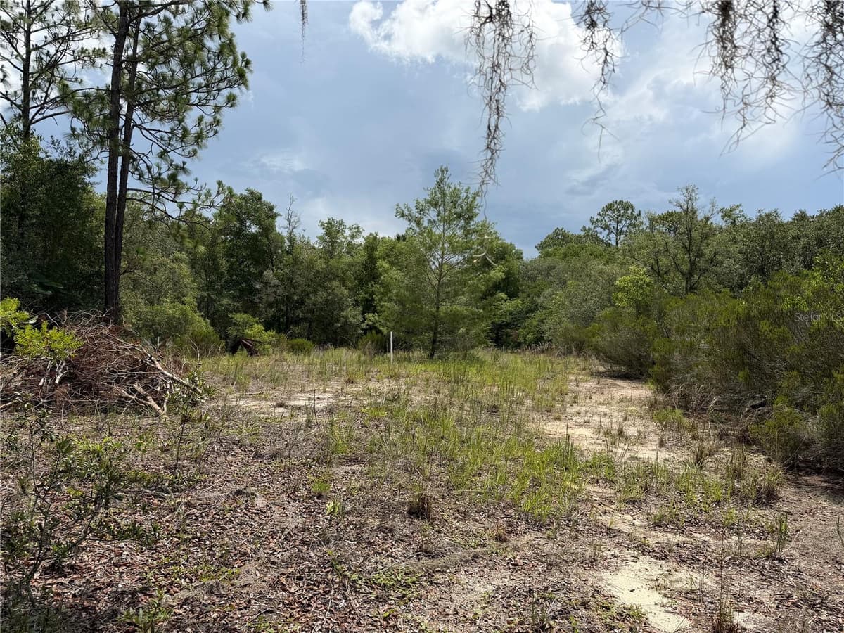 9730 STATE ROAD 24 — photo 12 of 46