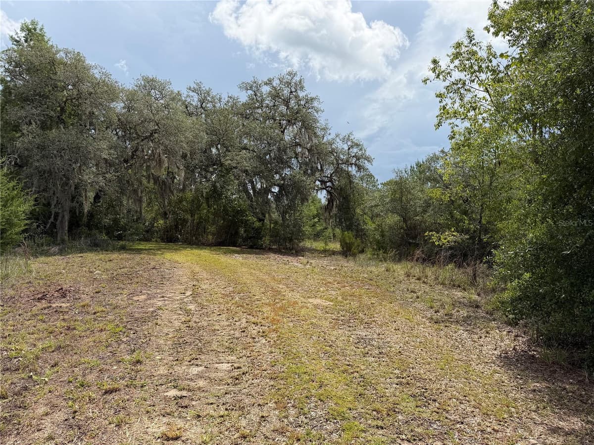 9730 STATE ROAD 24 — photo 14 of 46