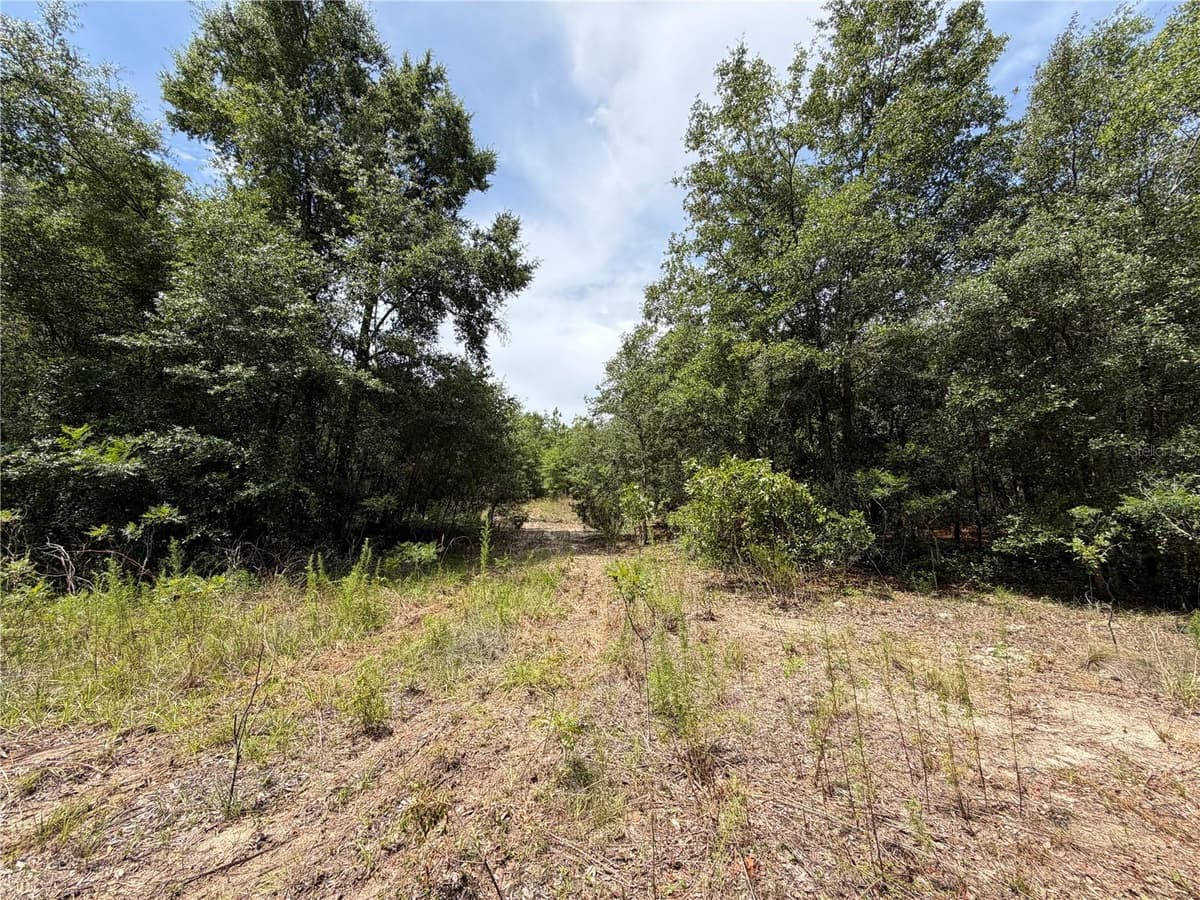 9730 STATE ROAD 24 — photo 13 of 46