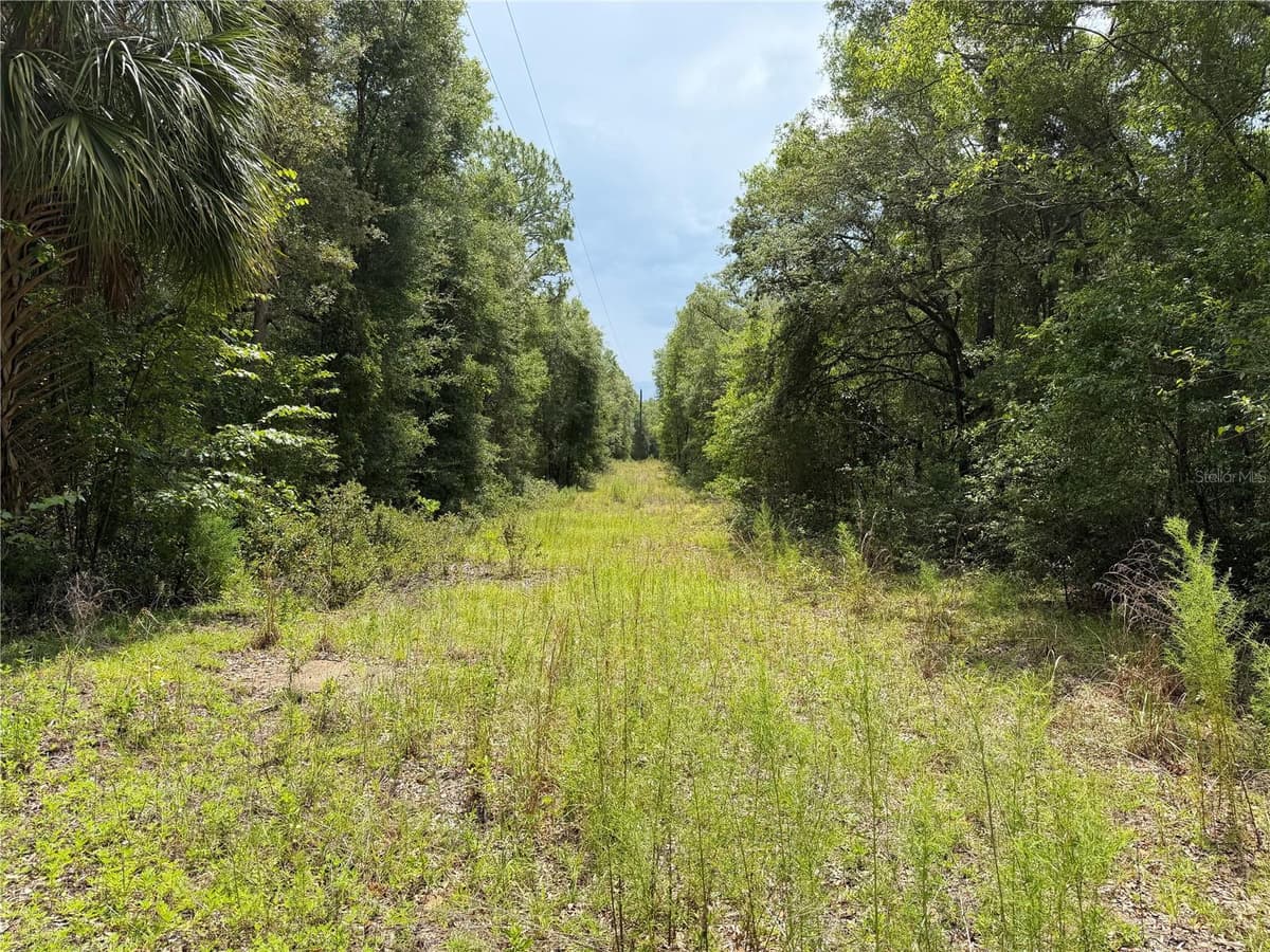 9730 STATE ROAD 24 — photo 18 of 46