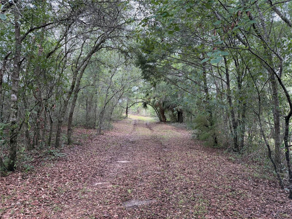 9730 STATE ROAD 24 — photo 16 of 46