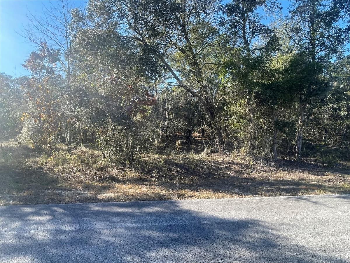 1056 BAMBOO LANE — photo 11 of 13