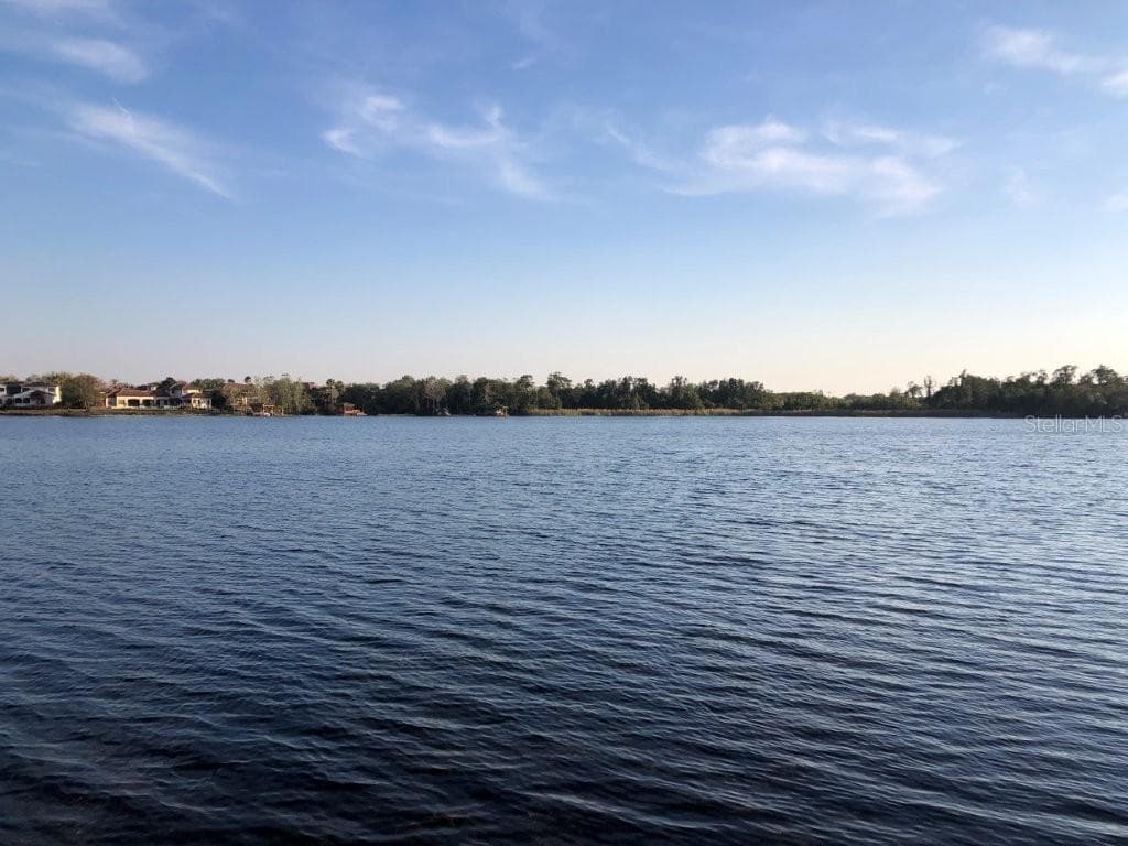 1238 LAKE WHITNEY DRIVE — photo 40 of 55