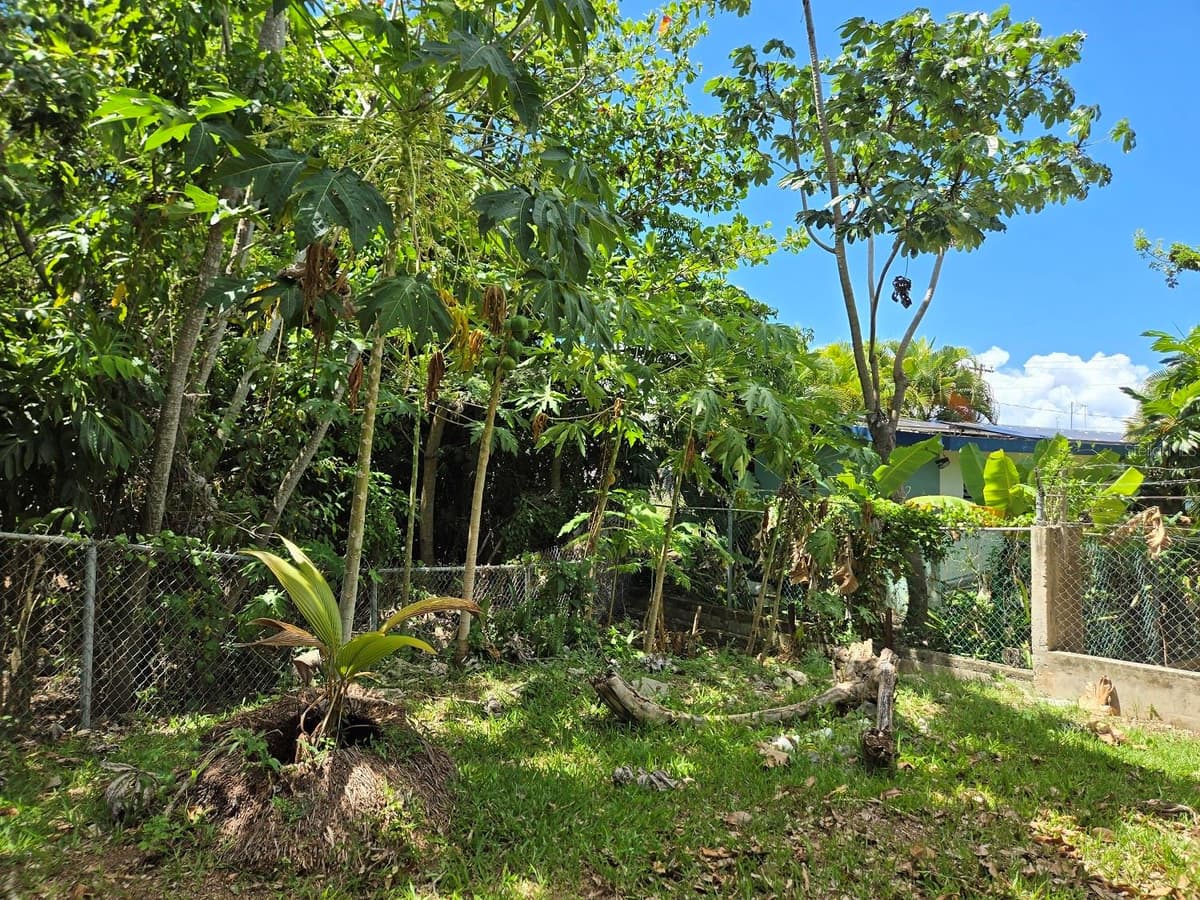 37 CALLE CORAL — photo 29 of 32