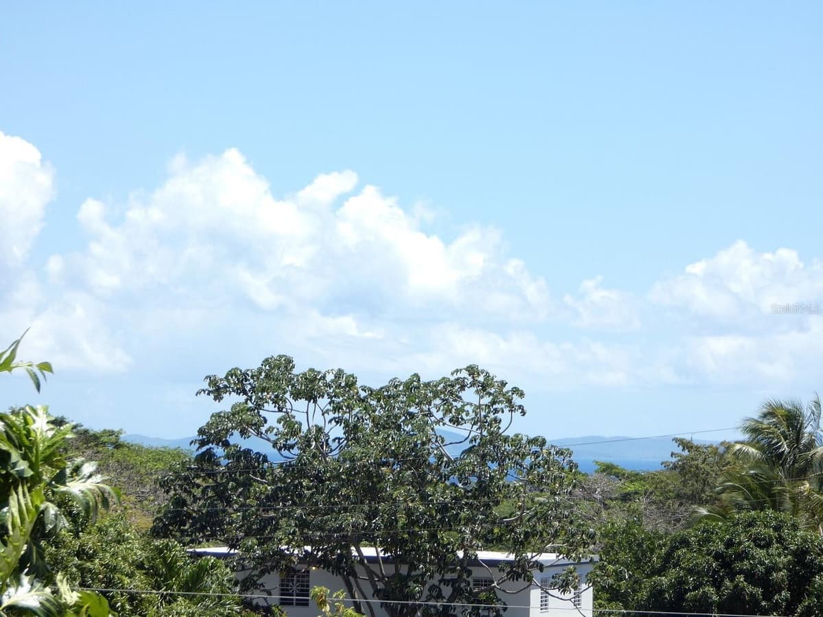37 CALLE CORAL — photo 25 of 32