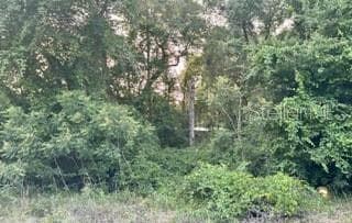 11TH STREET — photo 2 of 4