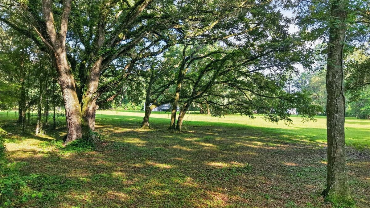 14210 HIGHWAY 464B — photo 35 of 82