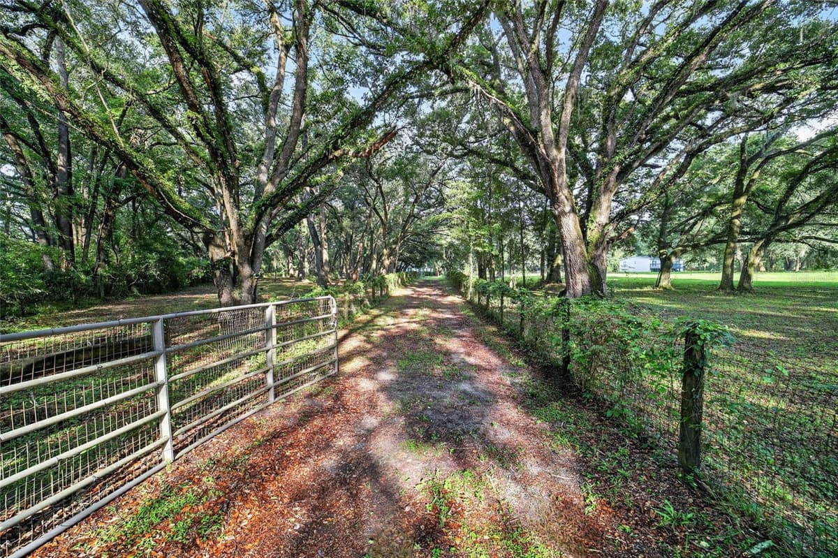 14210 HIGHWAY 464B — photo 80 of 82