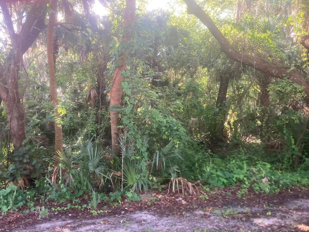 0 NANCY STREET — photo 2 of 3