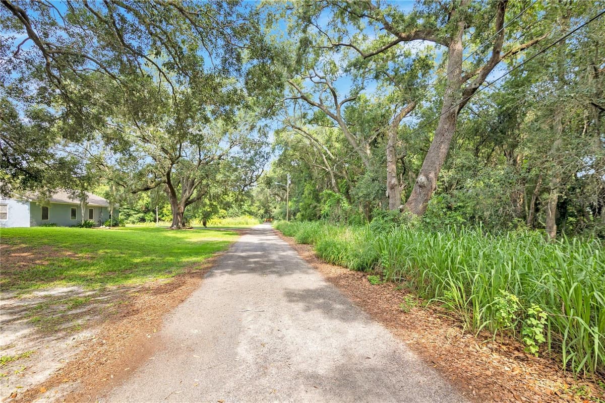 AVALON ROAD — photo 2 of 24