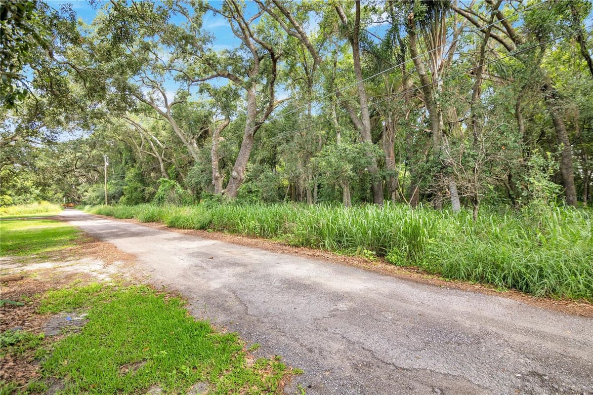 AVALON ROAD — photo 5 of 24