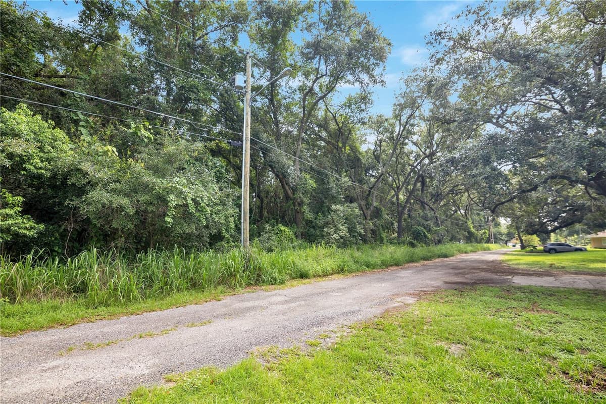 AVALON ROAD — photo 4 of 24
