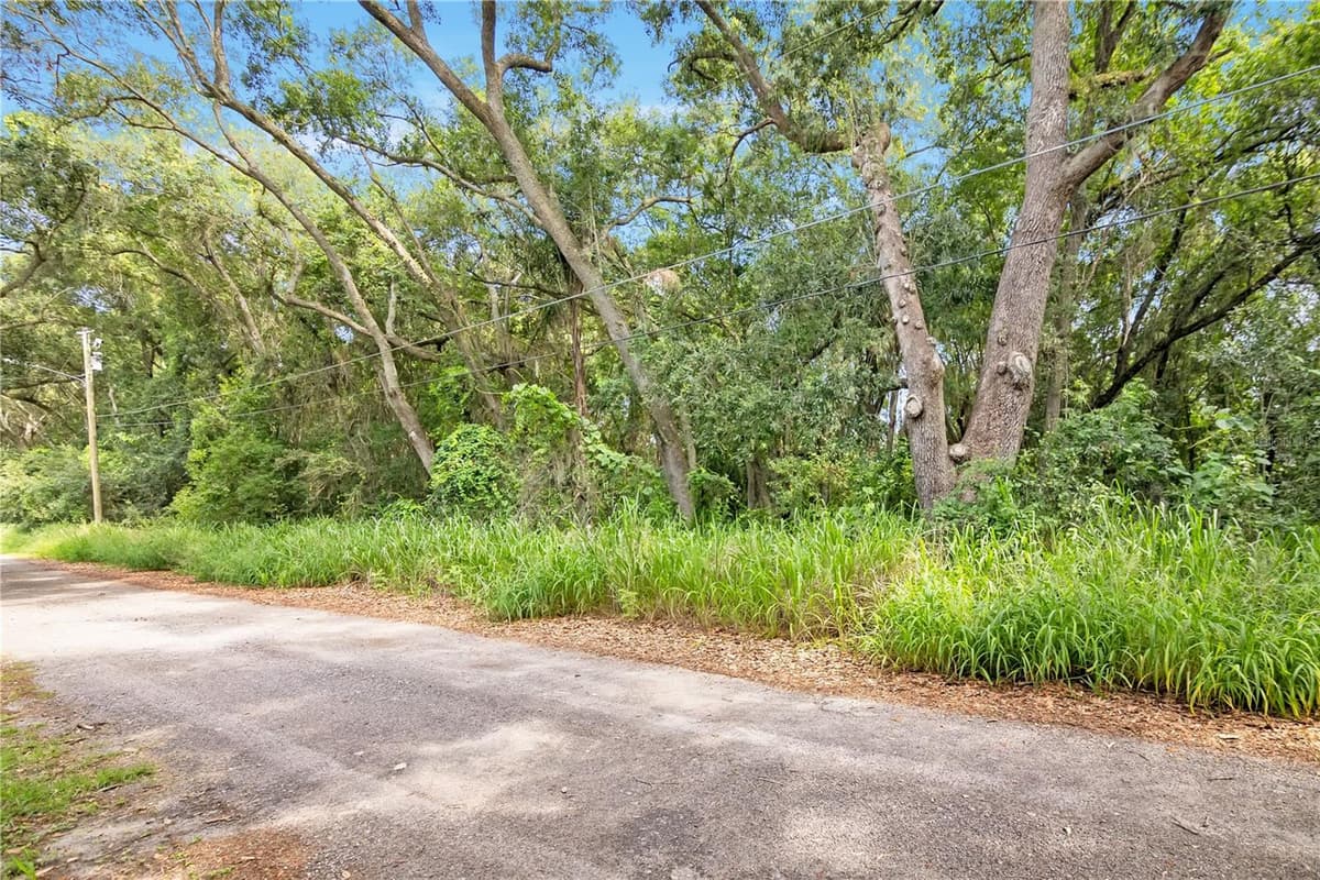 AVALON ROAD — photo 8 of 24