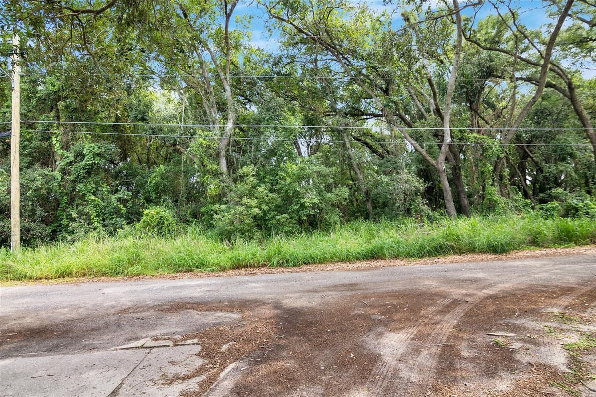 AVALON ROAD — photo 9 of 24