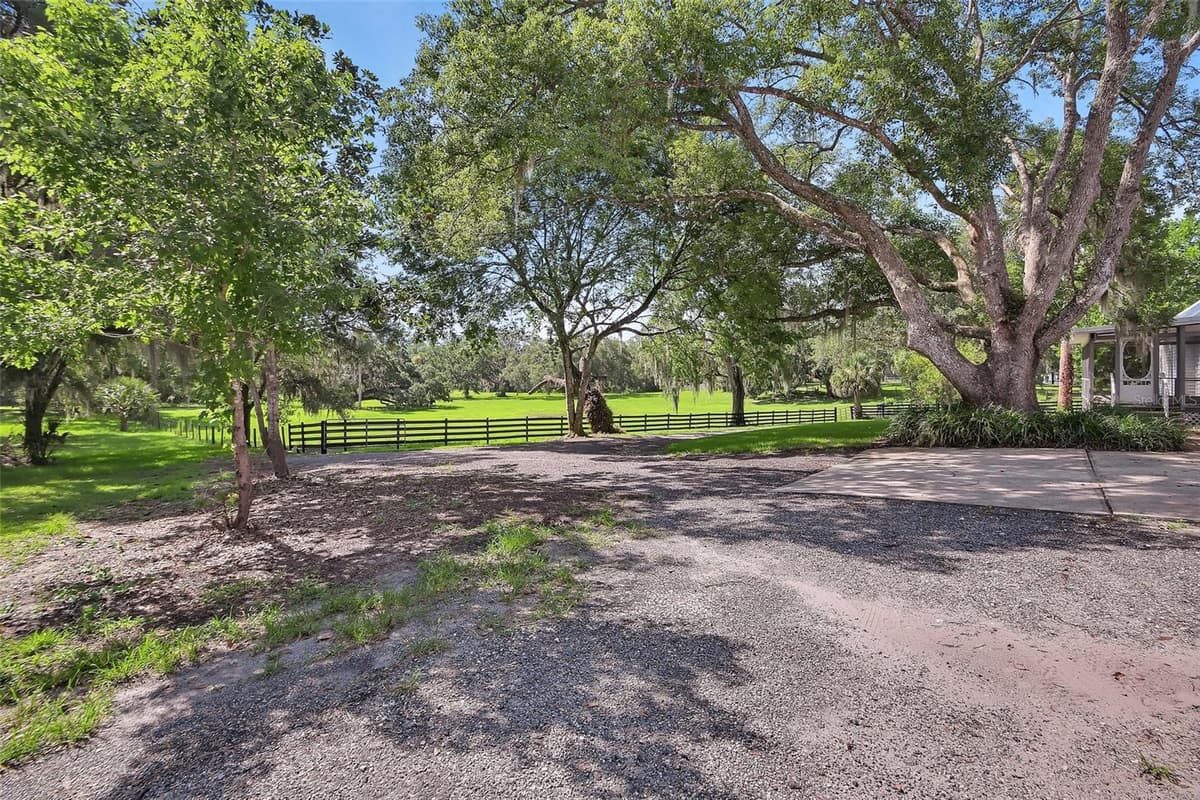 900 KICKLIGHTER ( 15+/- ACRES) ROAD — photo 4 of 46