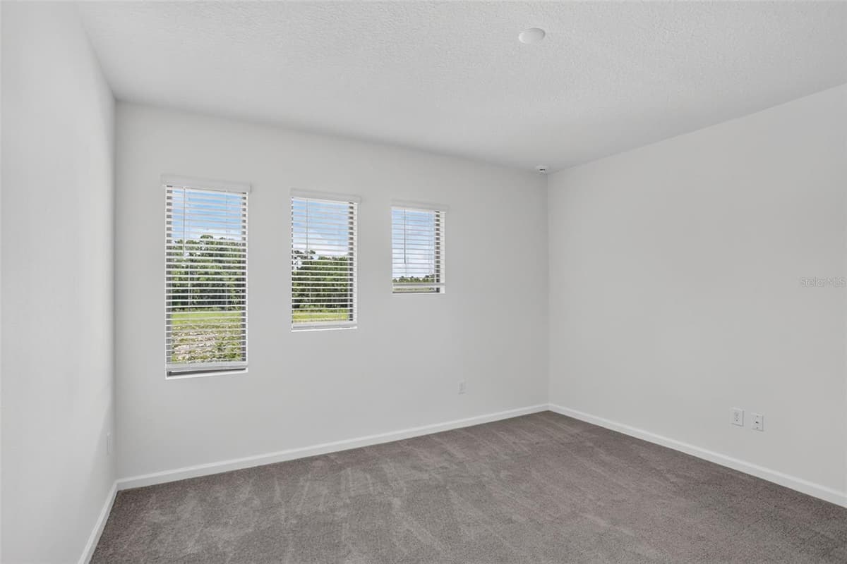 1242 BUTTERFLY ORCHID ROAD — photo 48 of 98