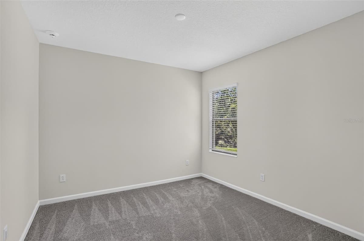 1242 BUTTERFLY ORCHID ROAD — photo 58 of 98