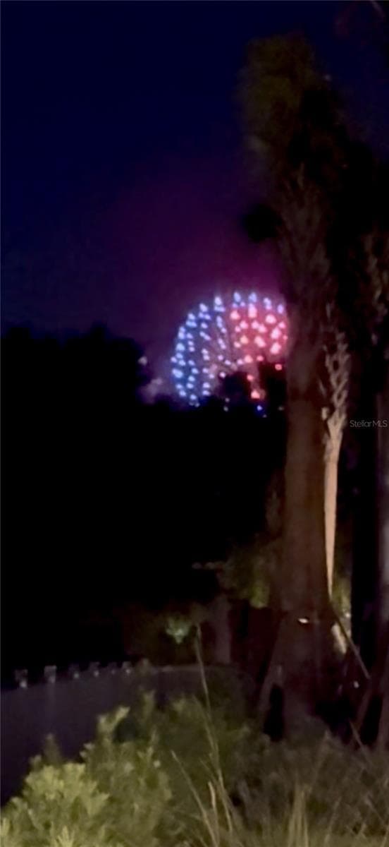 10331 WINTER SPARKLE CIRCLE — photo 56 of 74