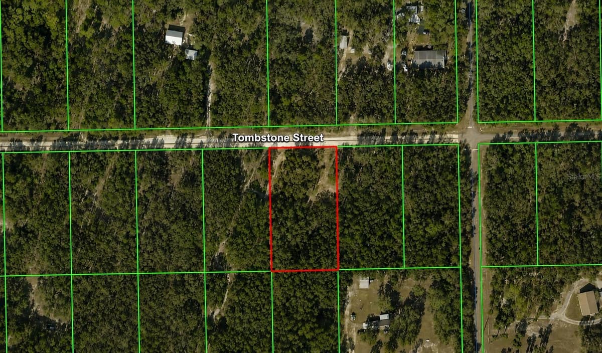 33240 TOMBSTONE STREET — photo 1 of 5